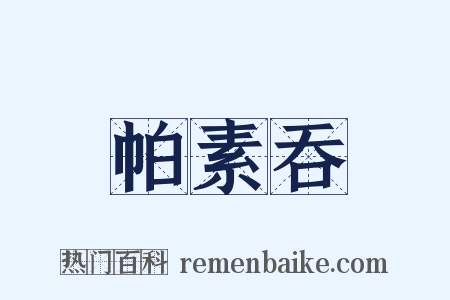 帕素吞是什么意思的图片